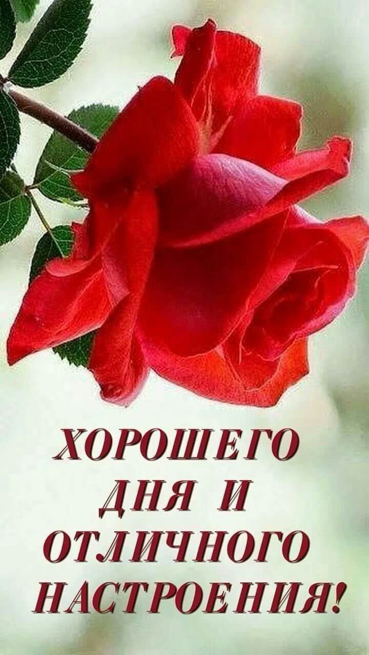 Доброго счастливого дня