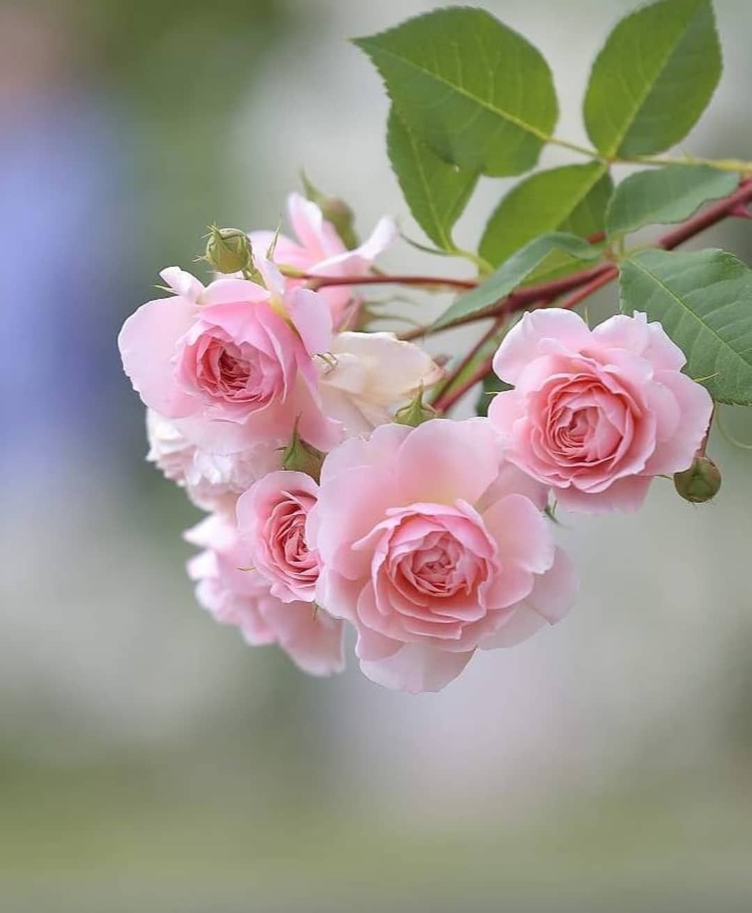 Доброго дня и прекрасного