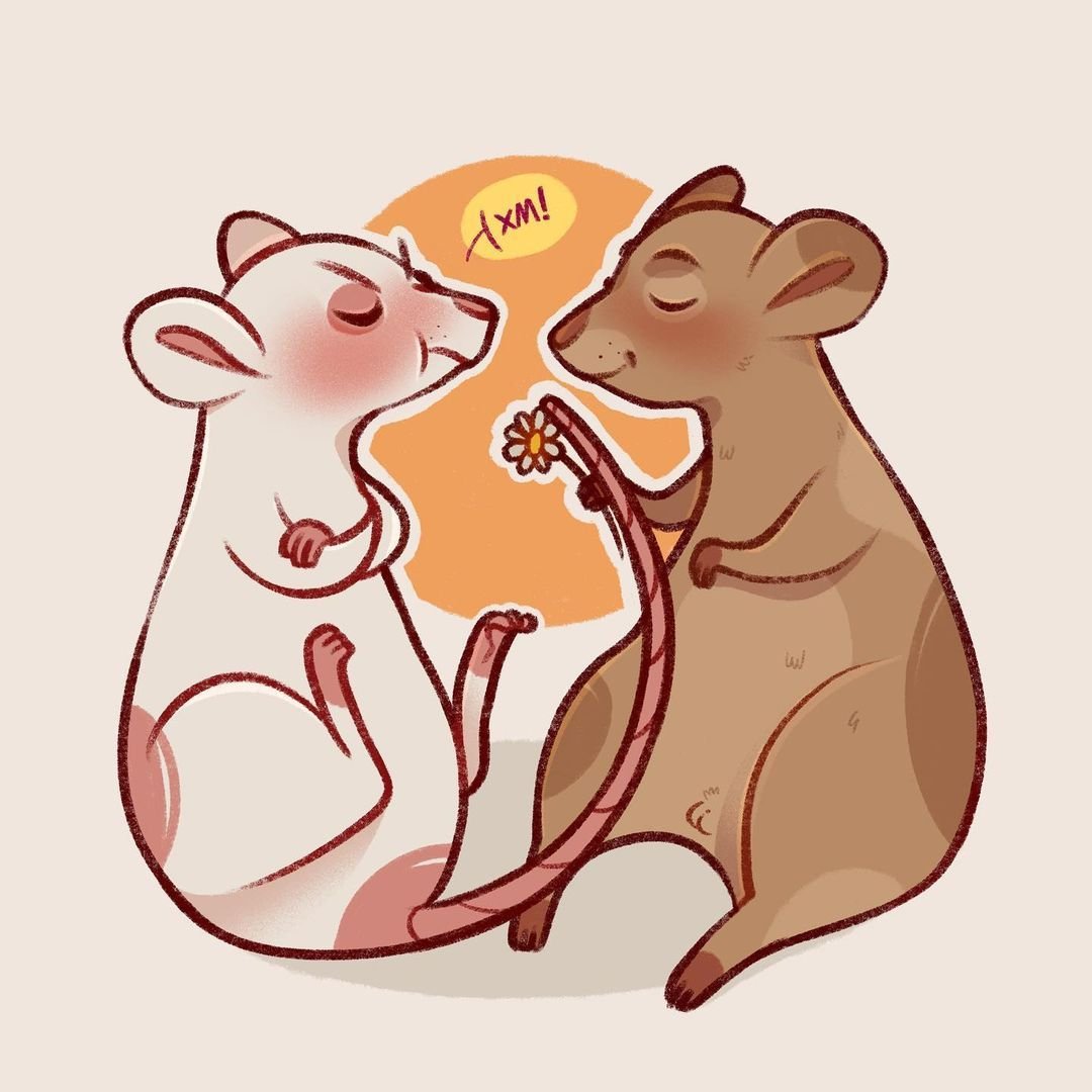 Парные крысы