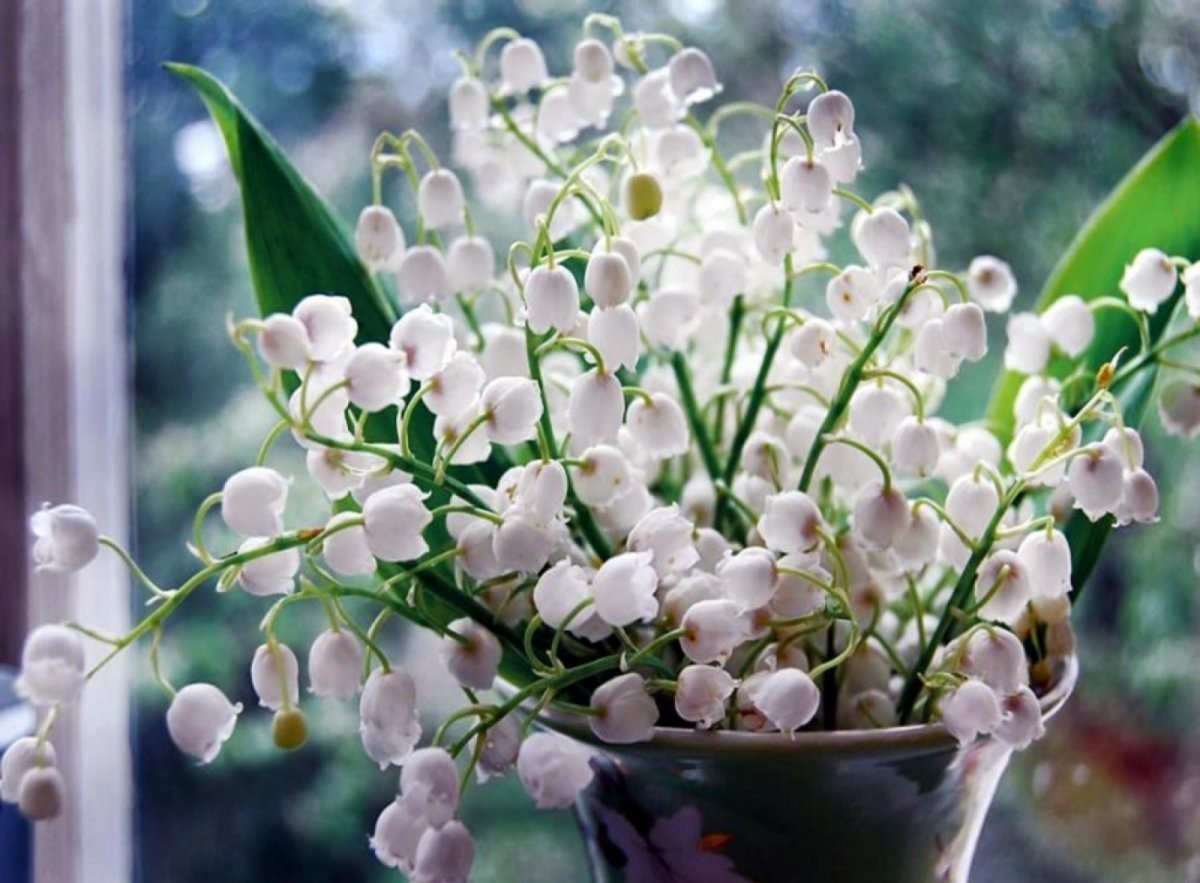 Весна в душе