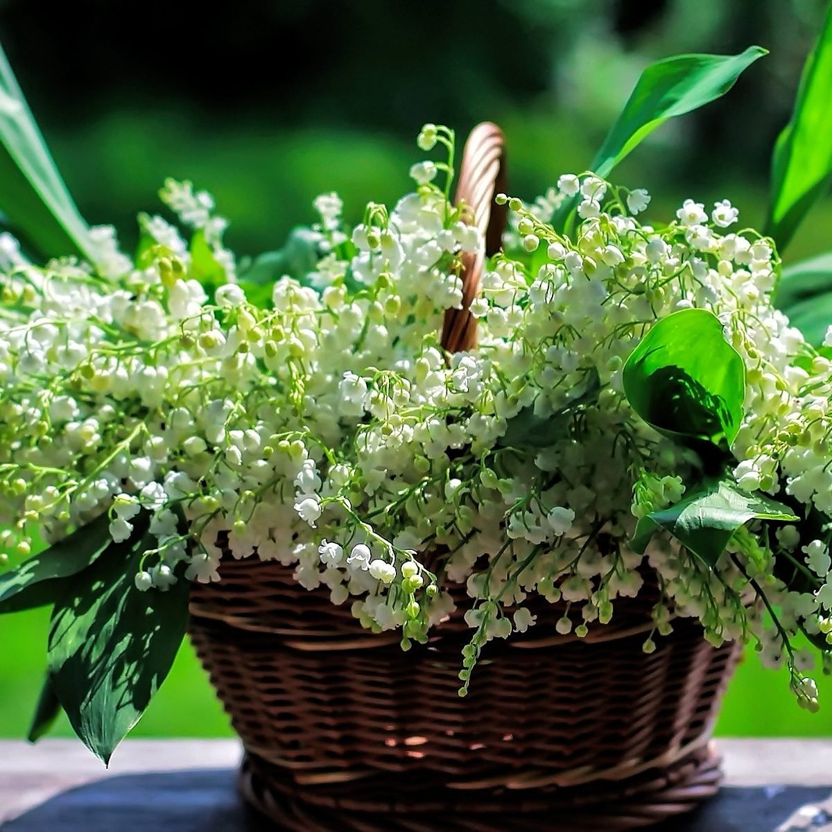 Натюрморт с чаем и ландышами