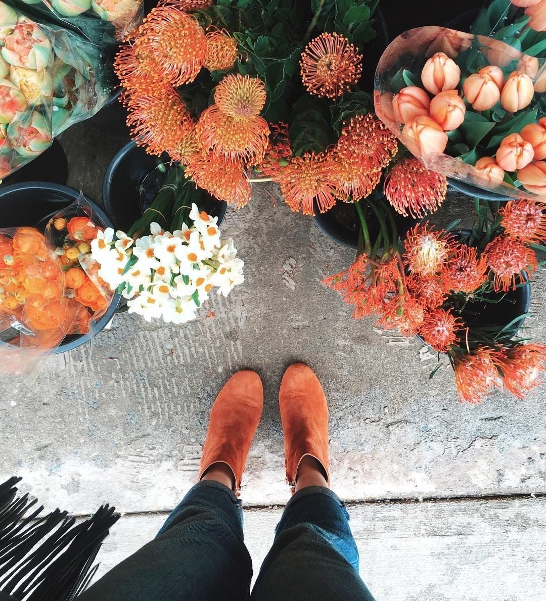 Оранжевые цветы Эстетика