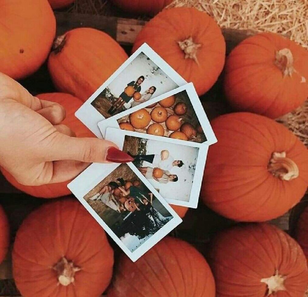 Эстетика оранжевого цвета осень