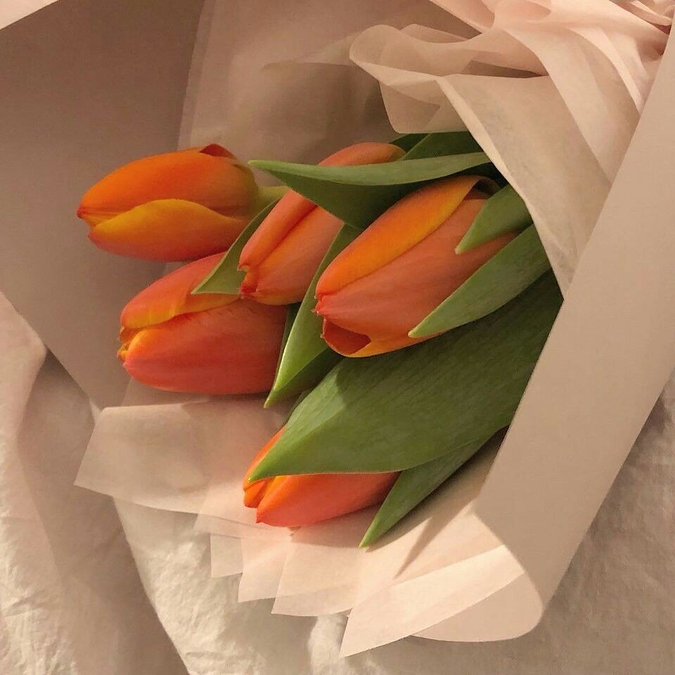 Эстетичные букеты тюльпанов