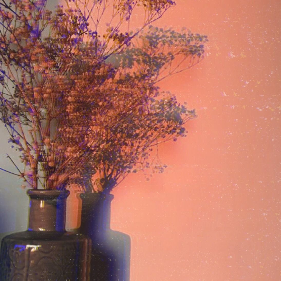 Бежевые цветы Эстетика