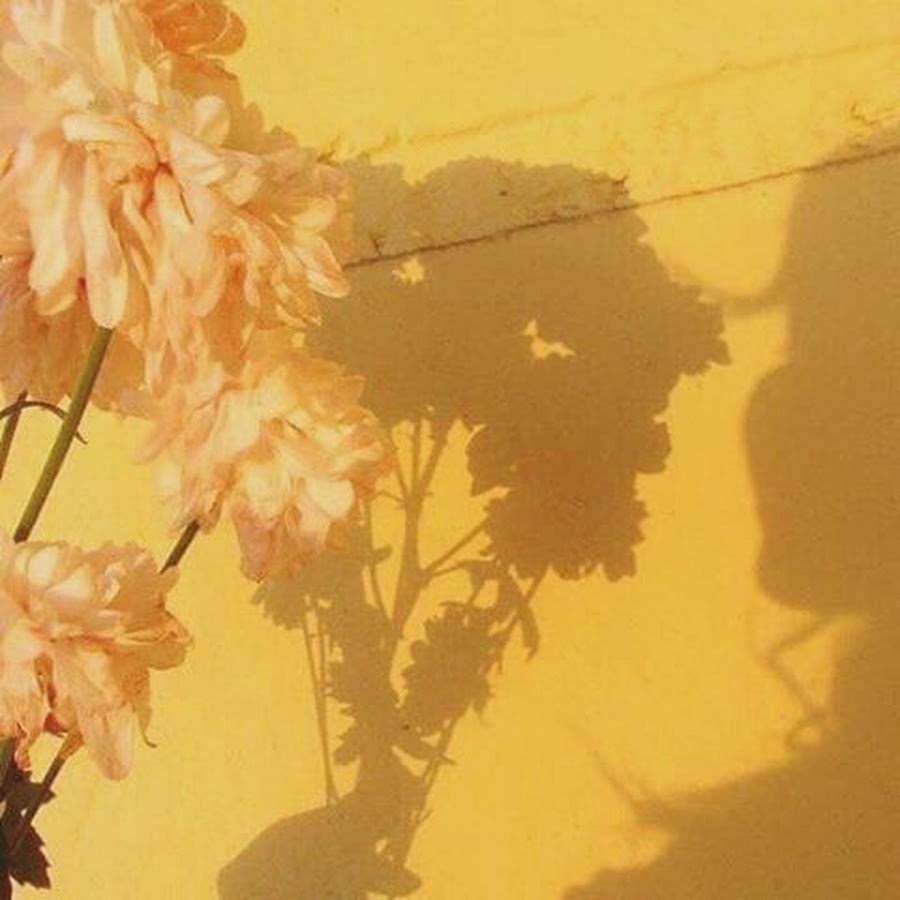 Пастелтны йжелтый Эстетика