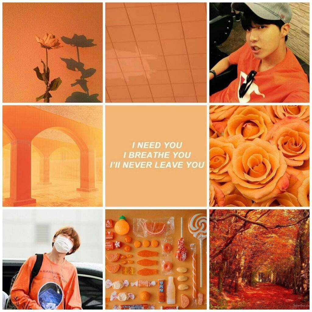 Оранжевая Эстетика коллажи