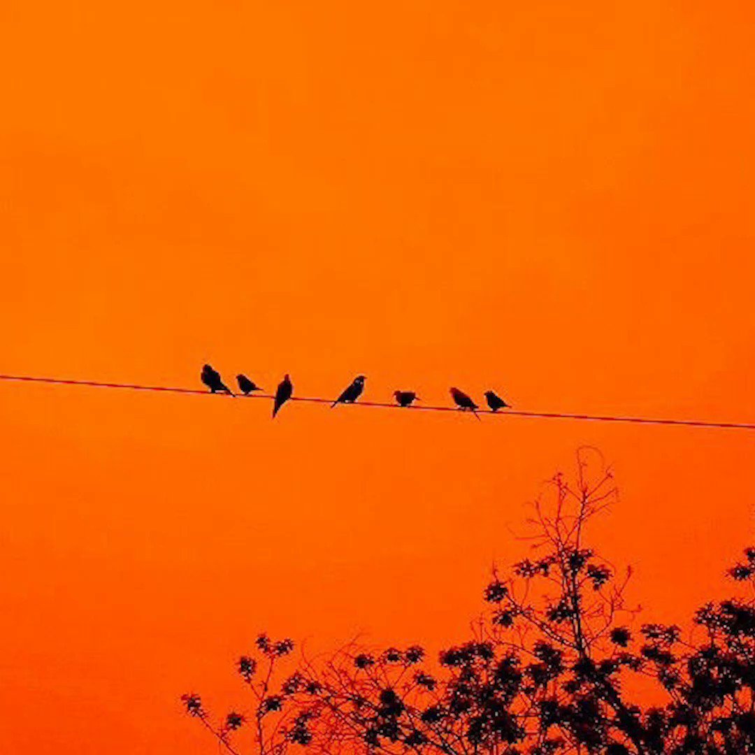 Эстетика оранжевого цвета