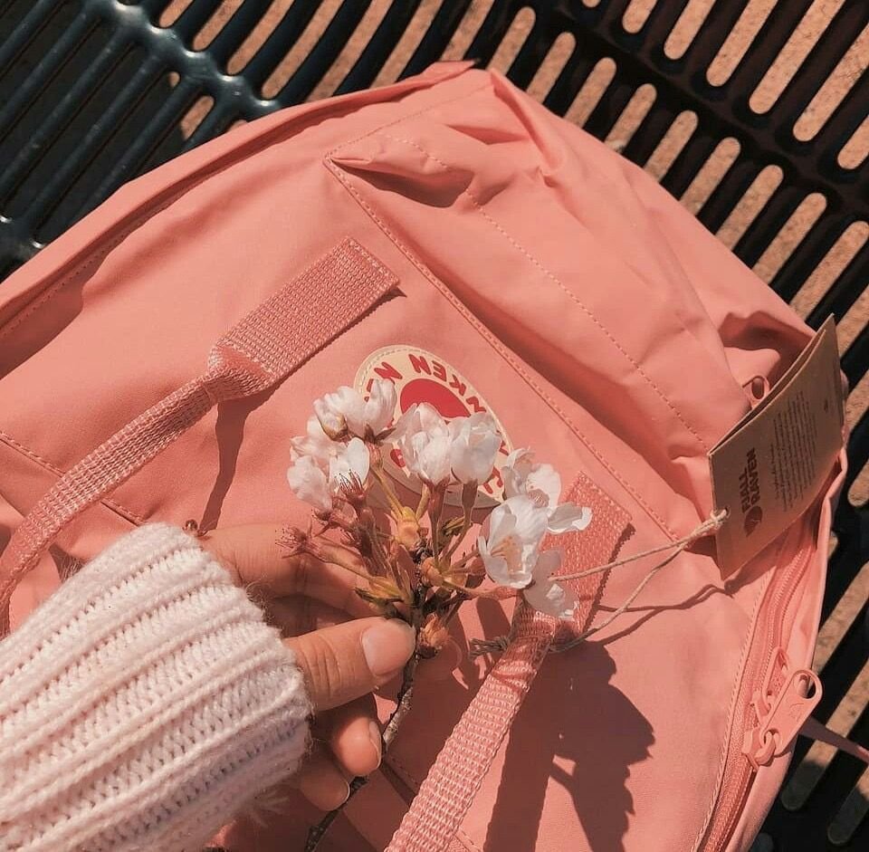 Пинтерест Эстетика персиковый