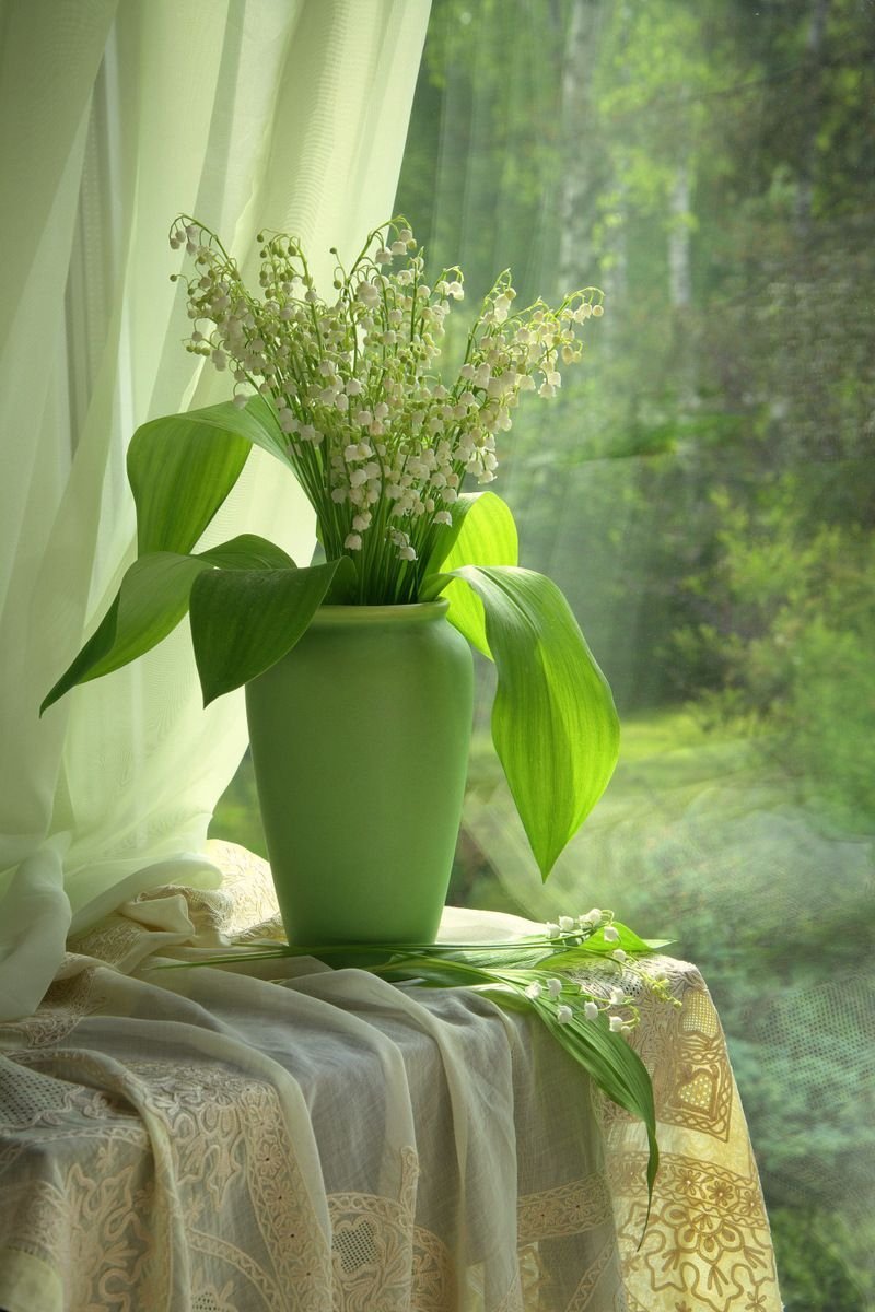 Натюрморты tatyaro