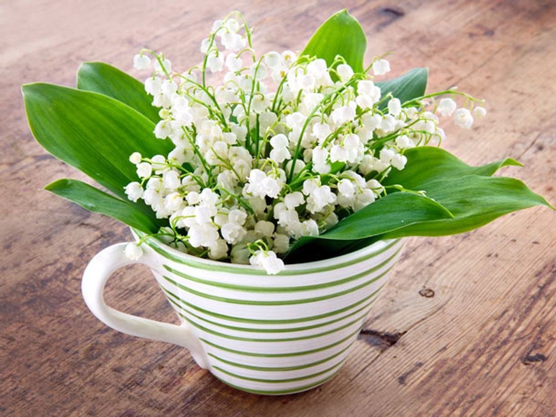 Весеннее настроение цветы