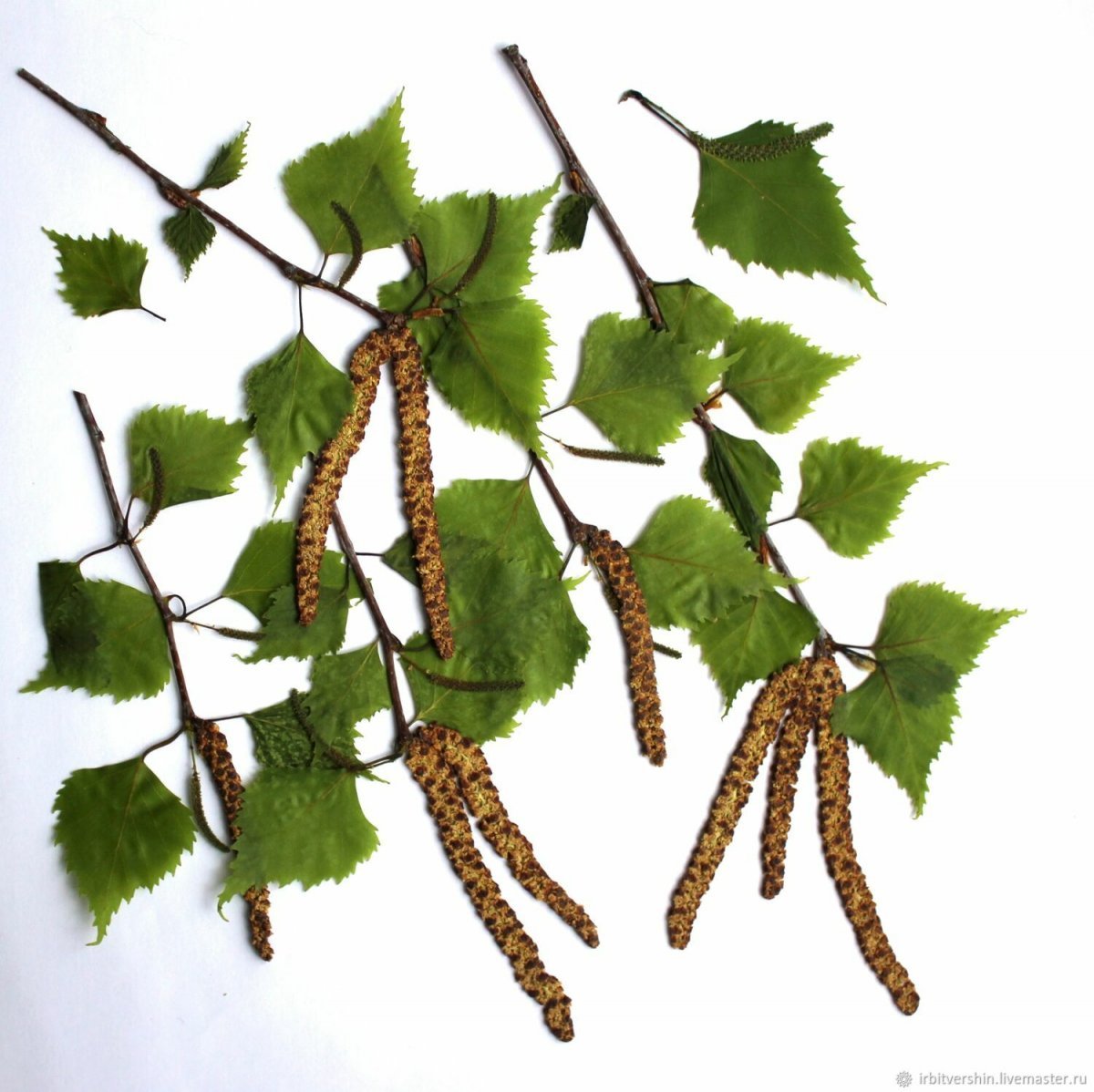 Березовые сережки сделать своими руками из бумаги