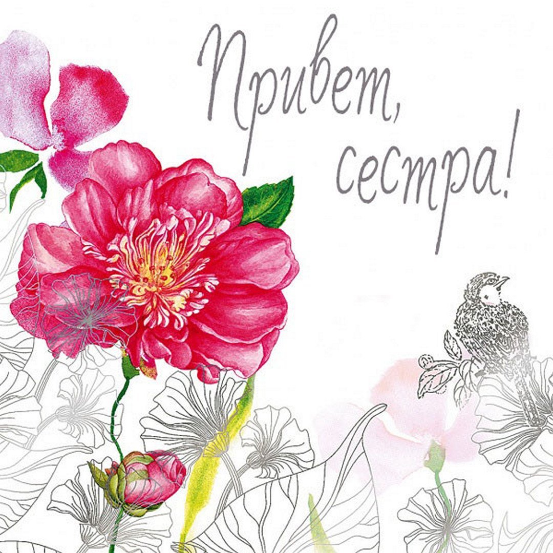 Привет сестренка