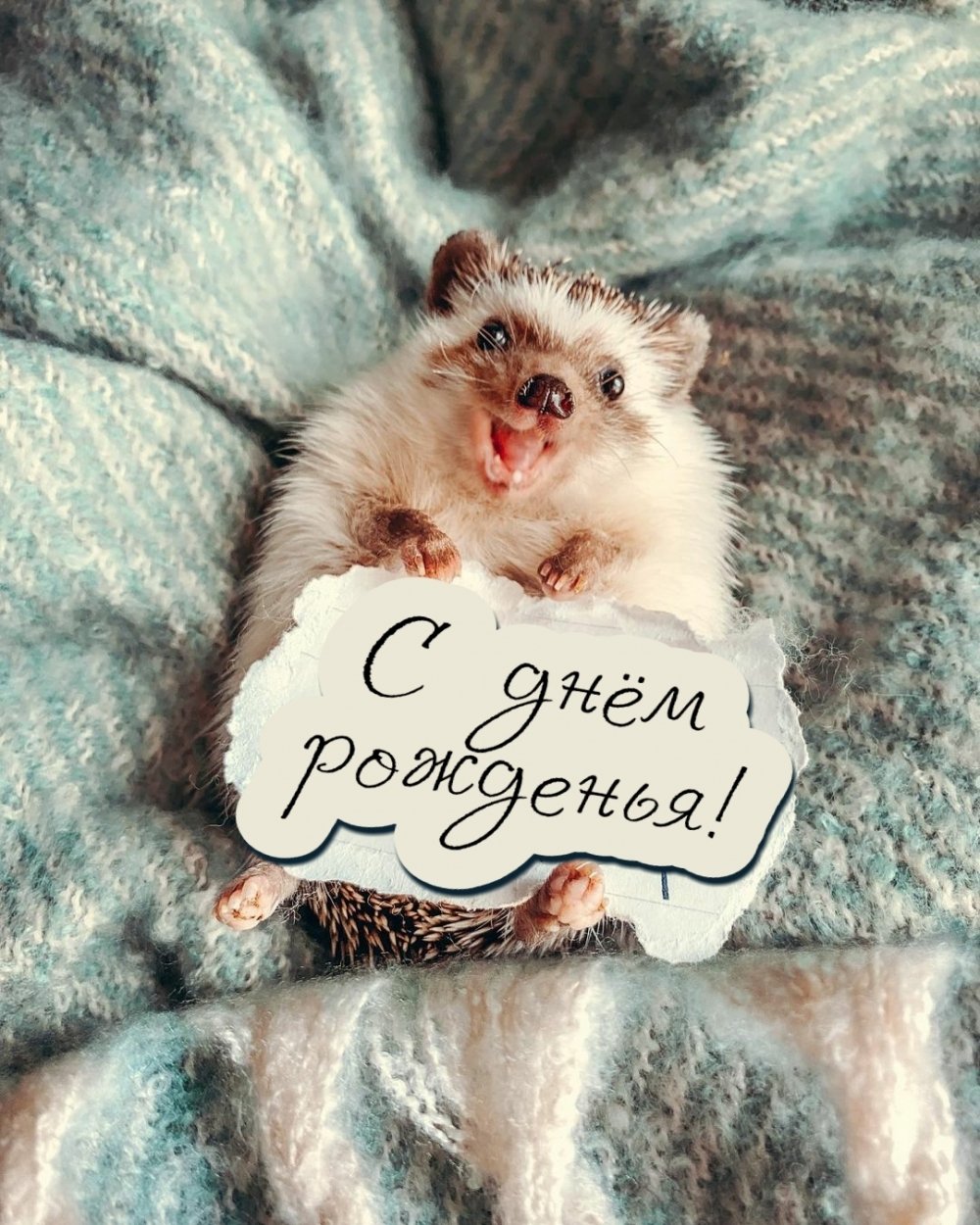 Нельзя просто так взять и не поздравить Катю с днем рождения