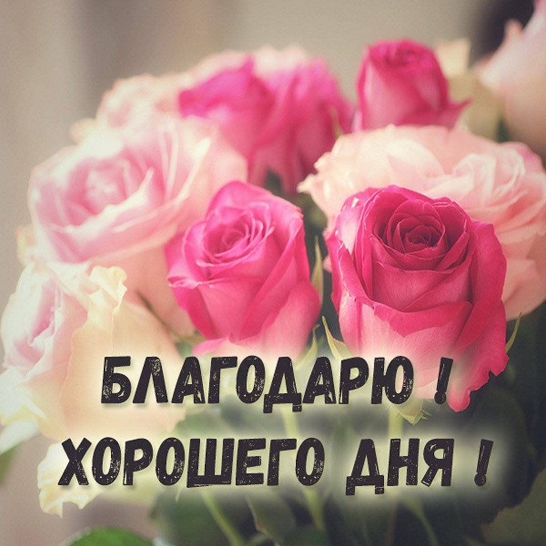 Спасибо родная