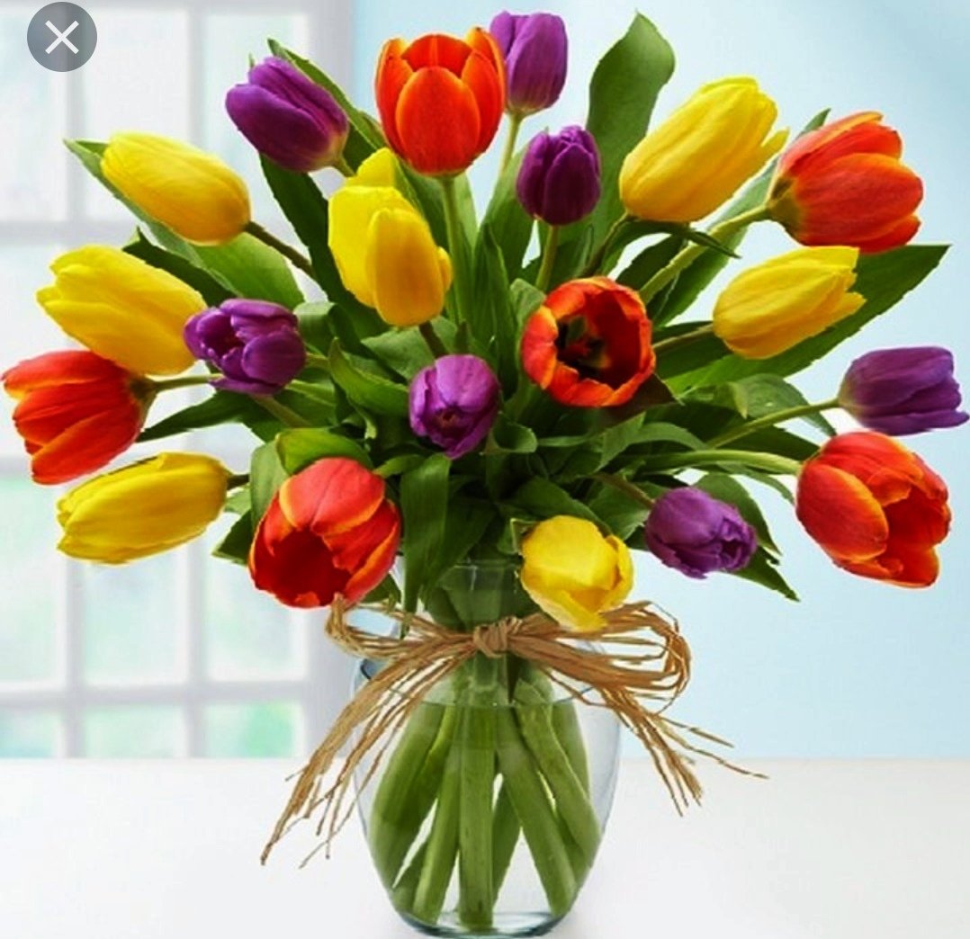 Букет тюльпанов поздравляю