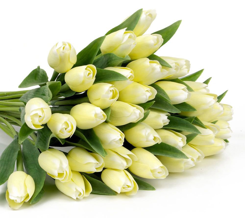 Огромный букет тюльпанов