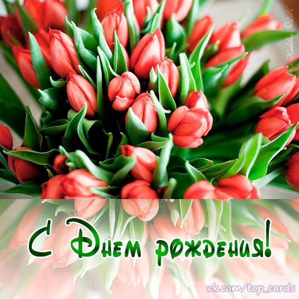 С днём рождения тюльпаны