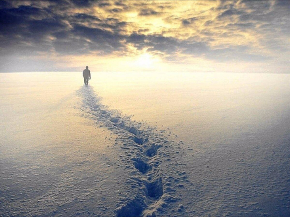 Счастливого пути самолет