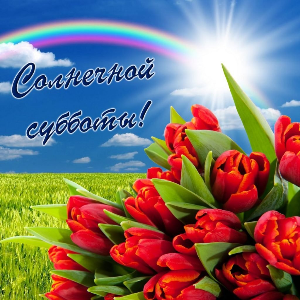 Солнечных выходных и отличного настроения