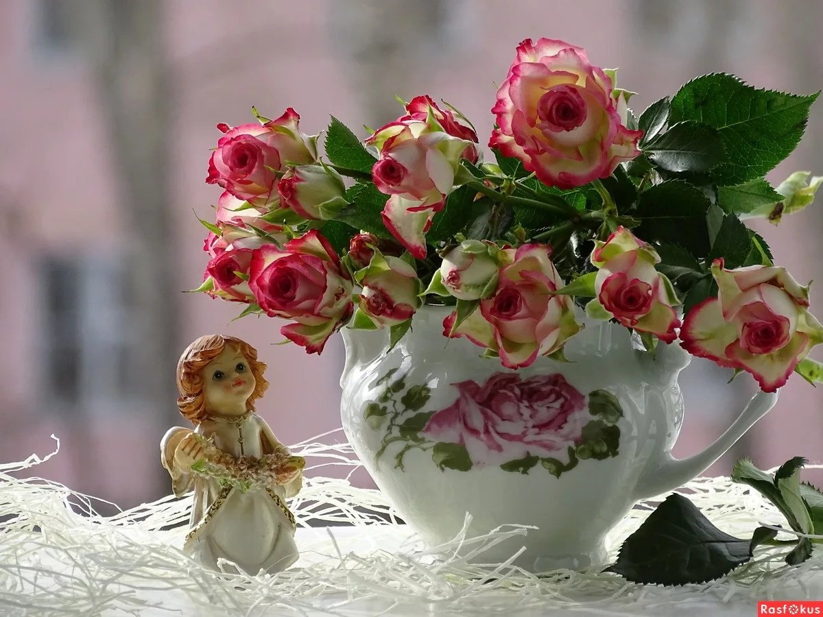 Хорошей субботы