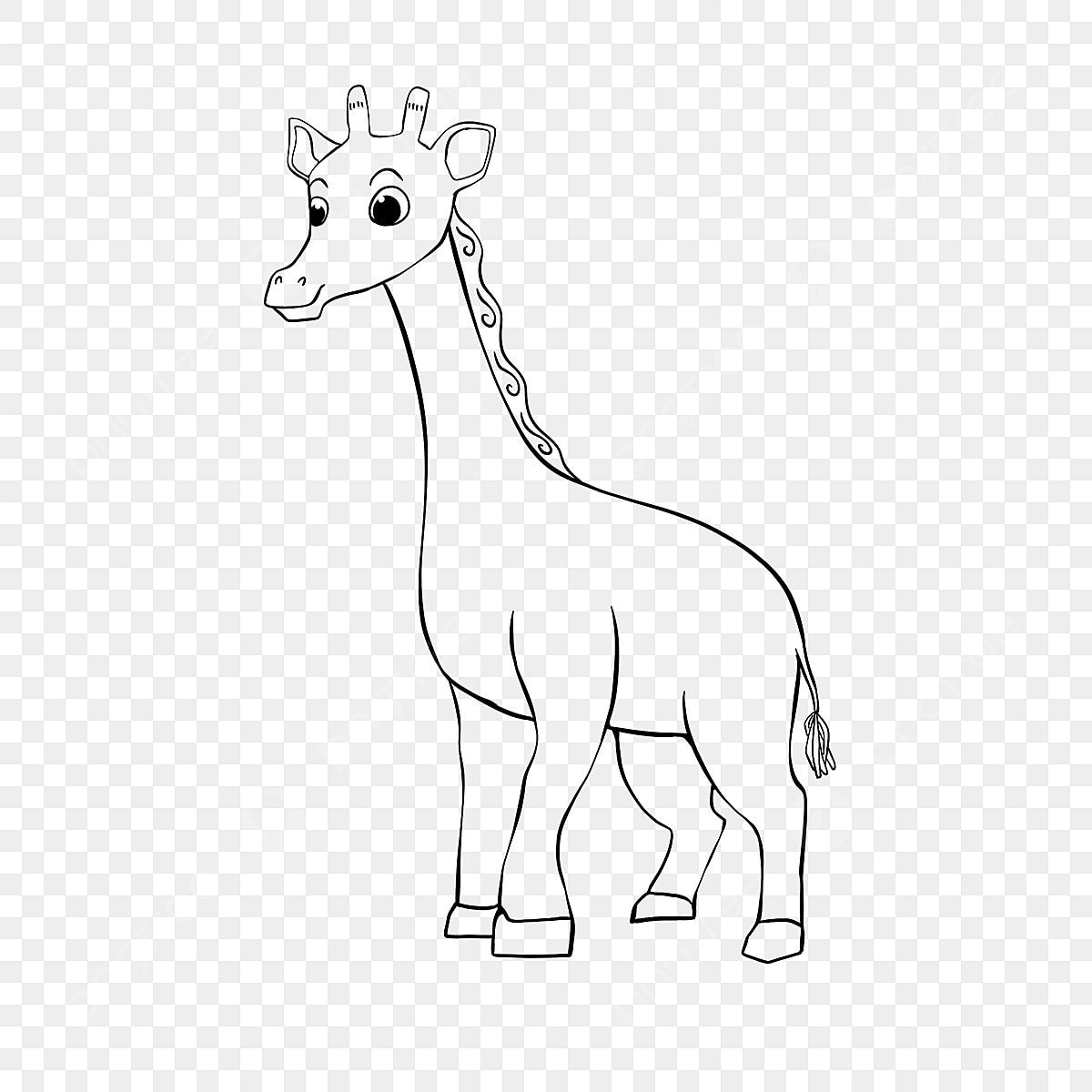 Жираф без пятен картинка черно белая