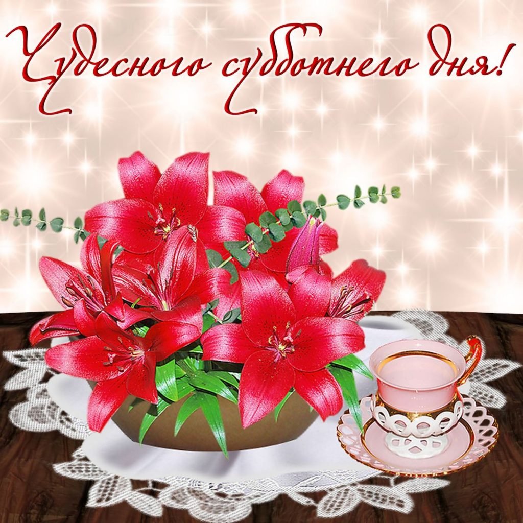 Доброе утро вторника