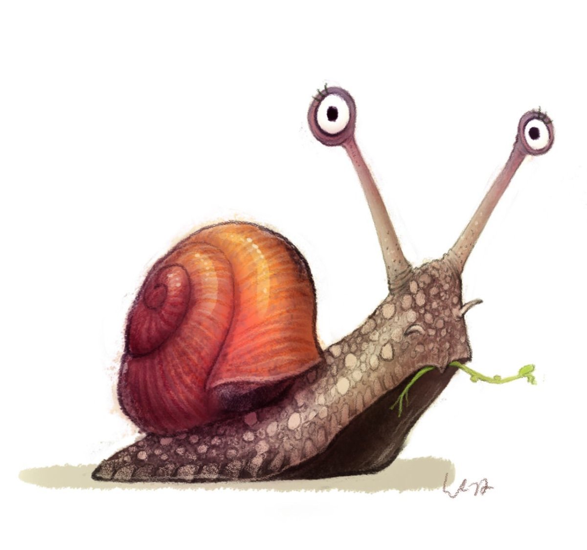 Улитка картинка для детей