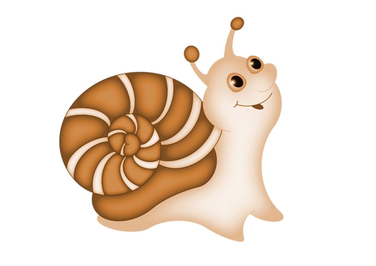 Рисование красивая улитка