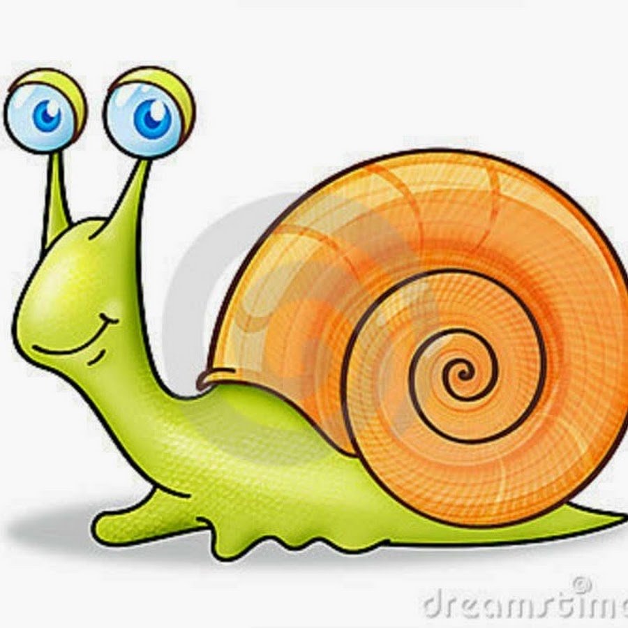 Улитка рисунок на прозрачном фоне