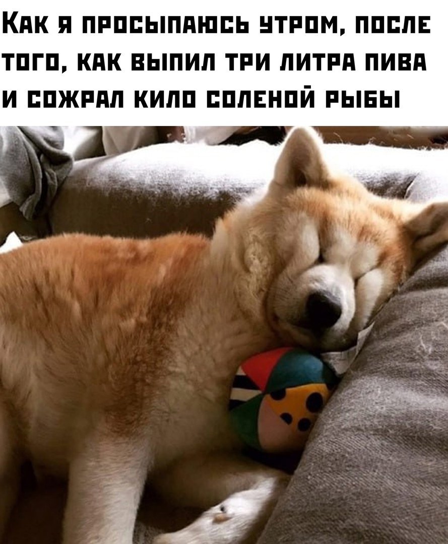 Патрик Патрикович