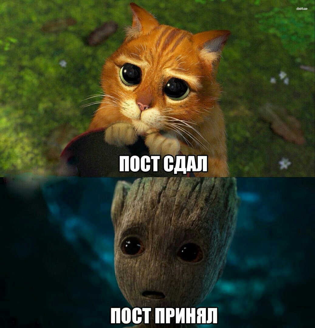 Хорошего дежурства