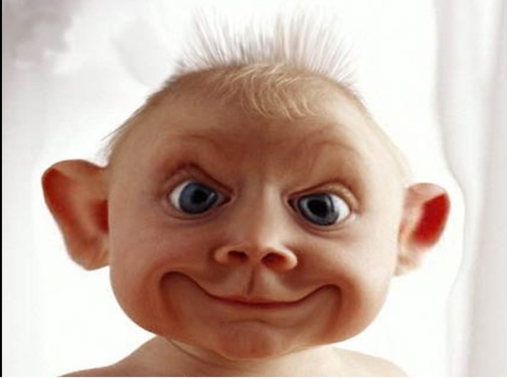 Эль Примо Браво старс