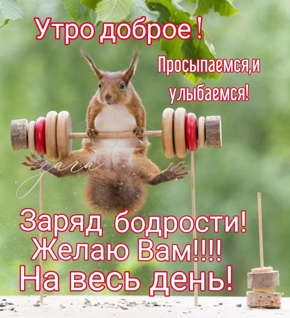 Доброе утро зима прикольные