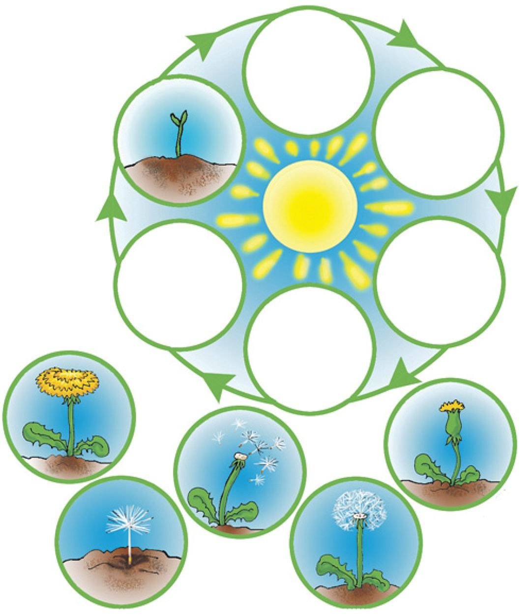 Экологический субботник рисунок