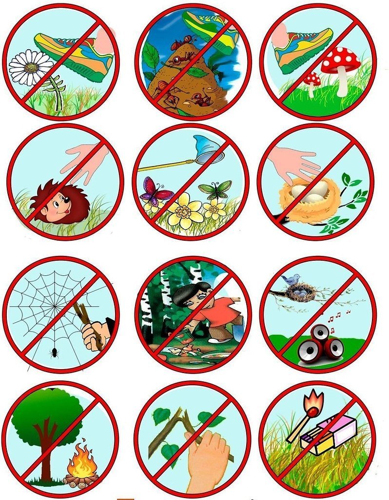 Знаки защиты природы