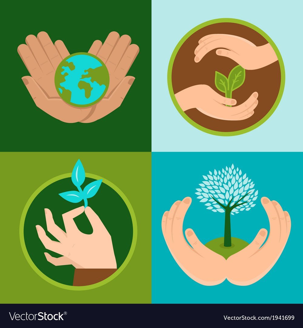 Экологическое путешествие