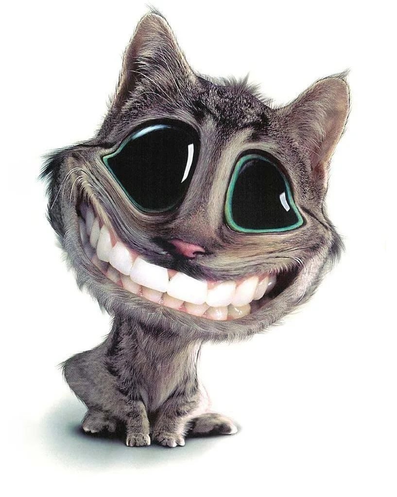 Смешные аватарки