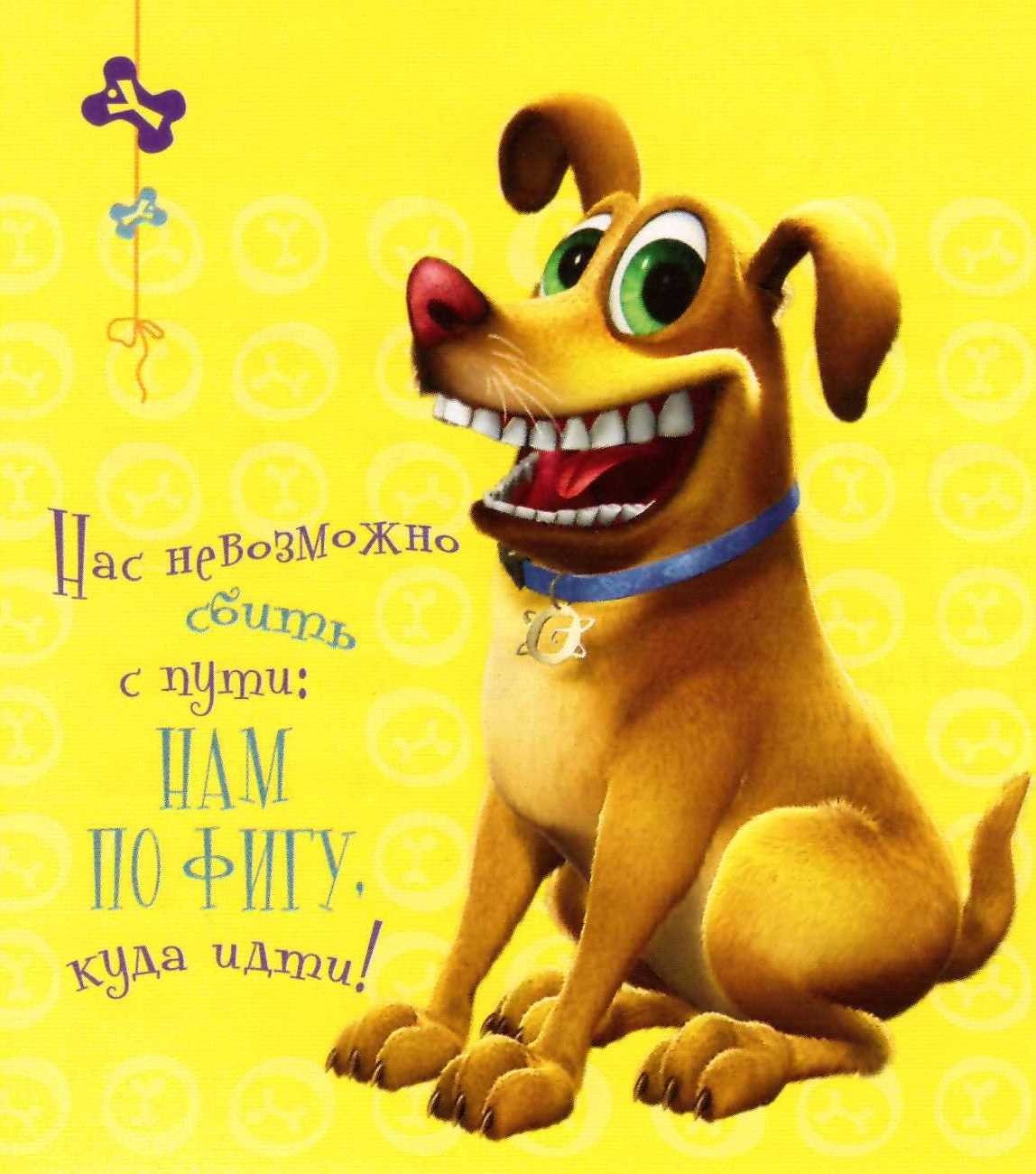 Улыбнись прикольные