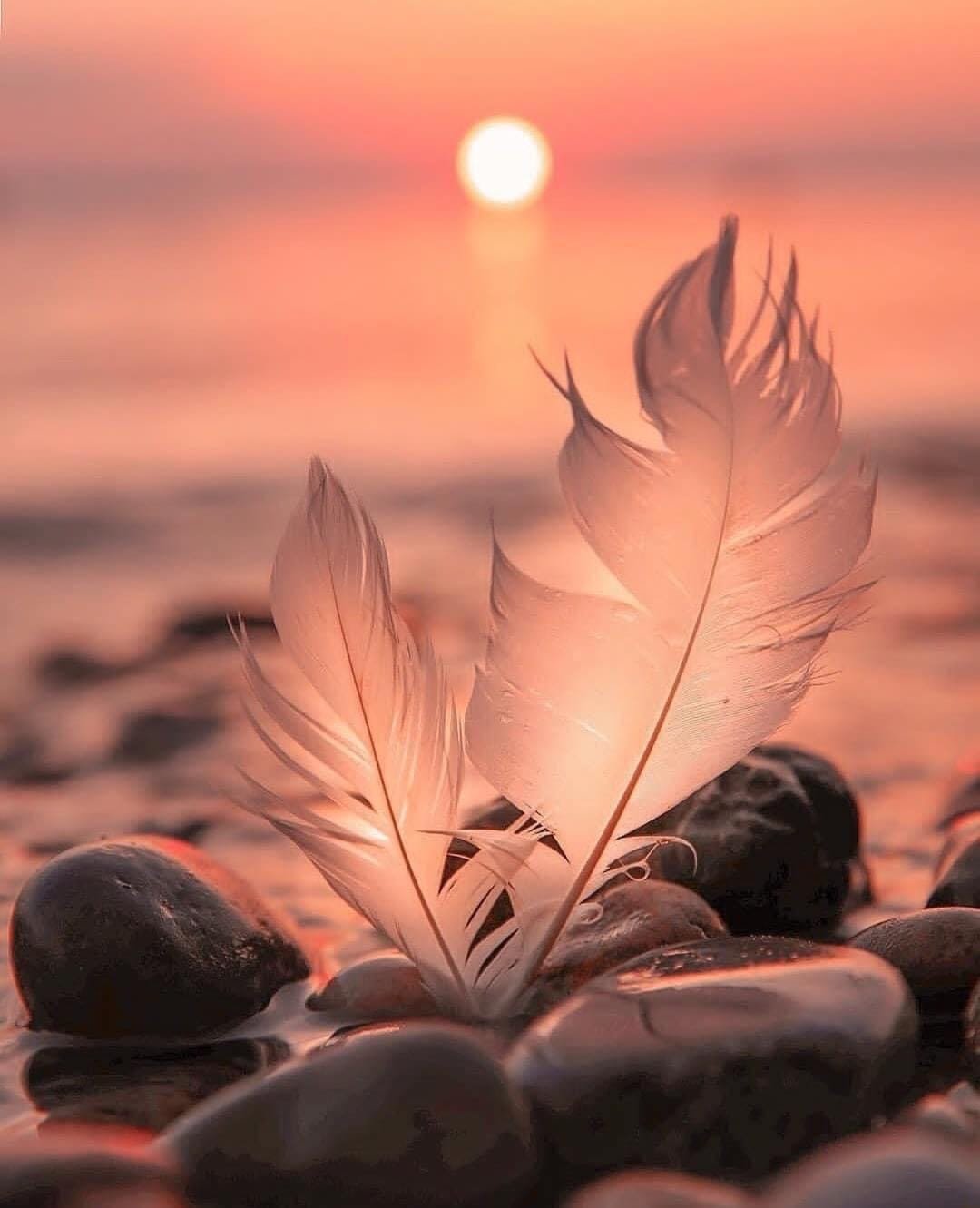 Гифы спокойной ночи