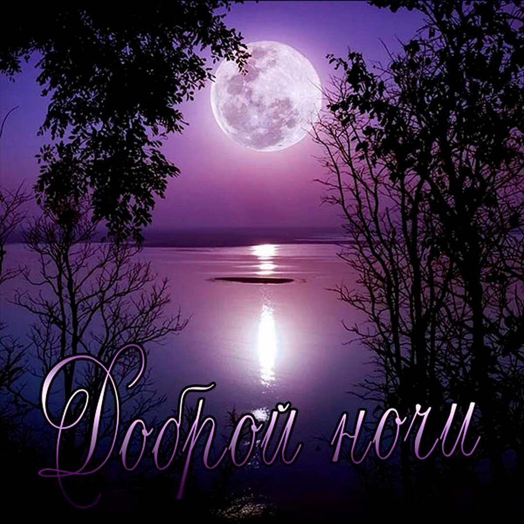 Сказочное ночное небо