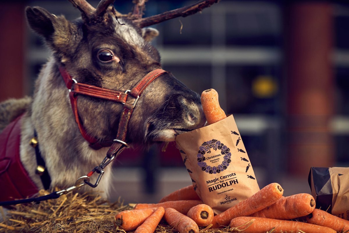 Что едят ослы