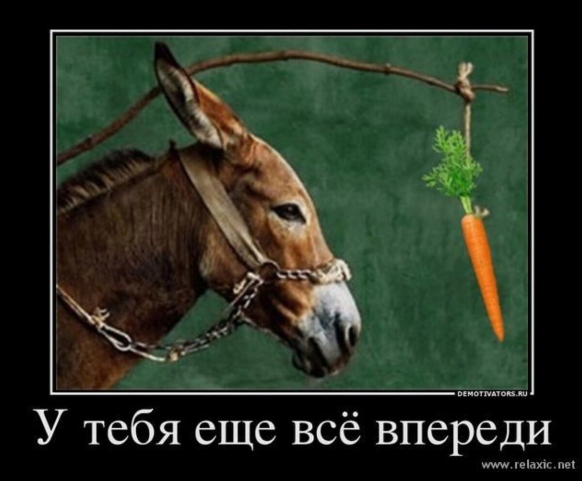 Ослик везет тележку