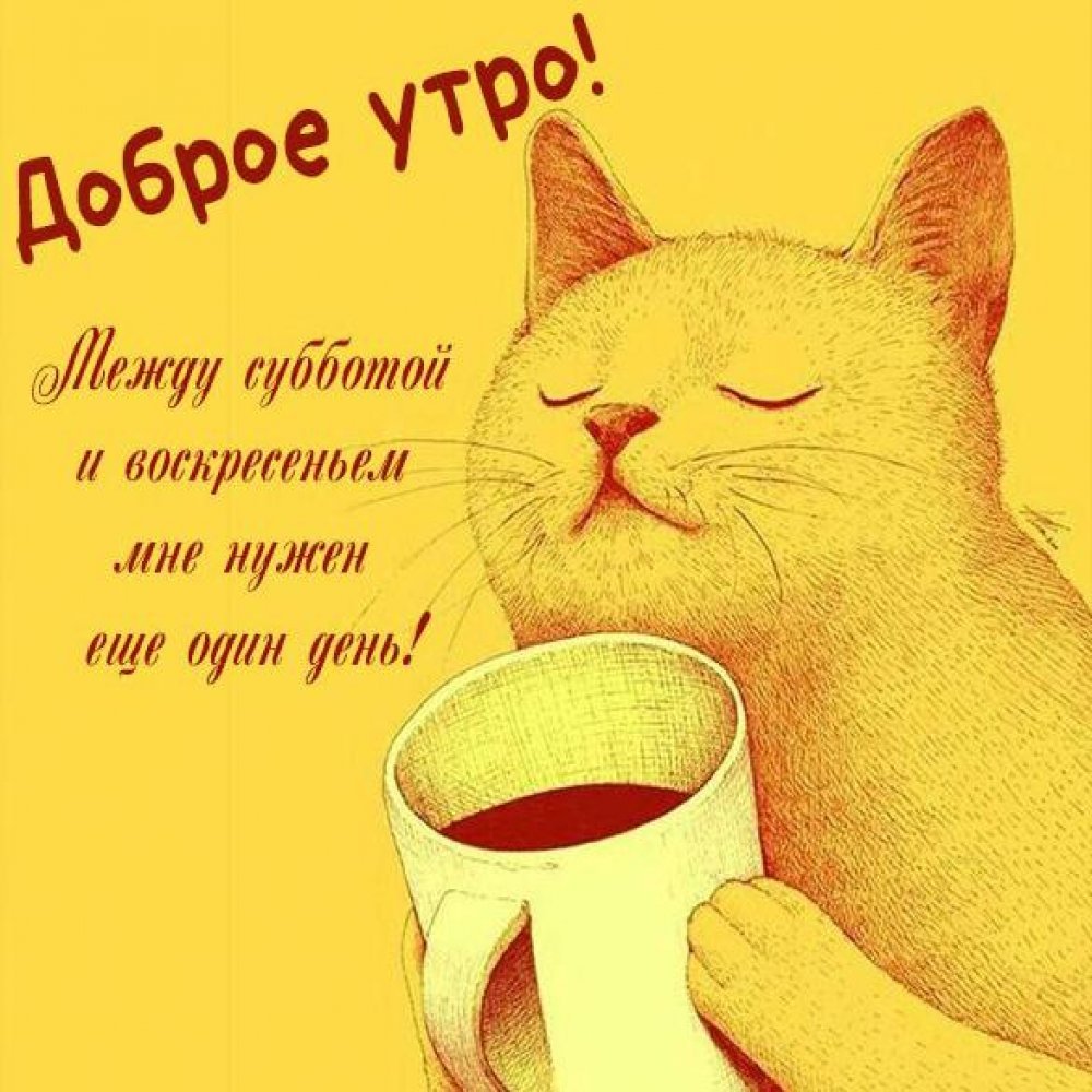 Утро выходного дня