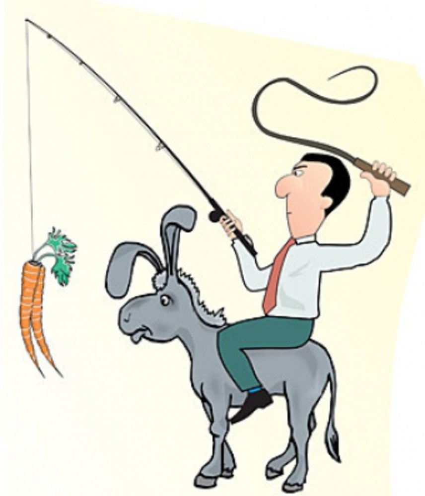 Что едят ослы