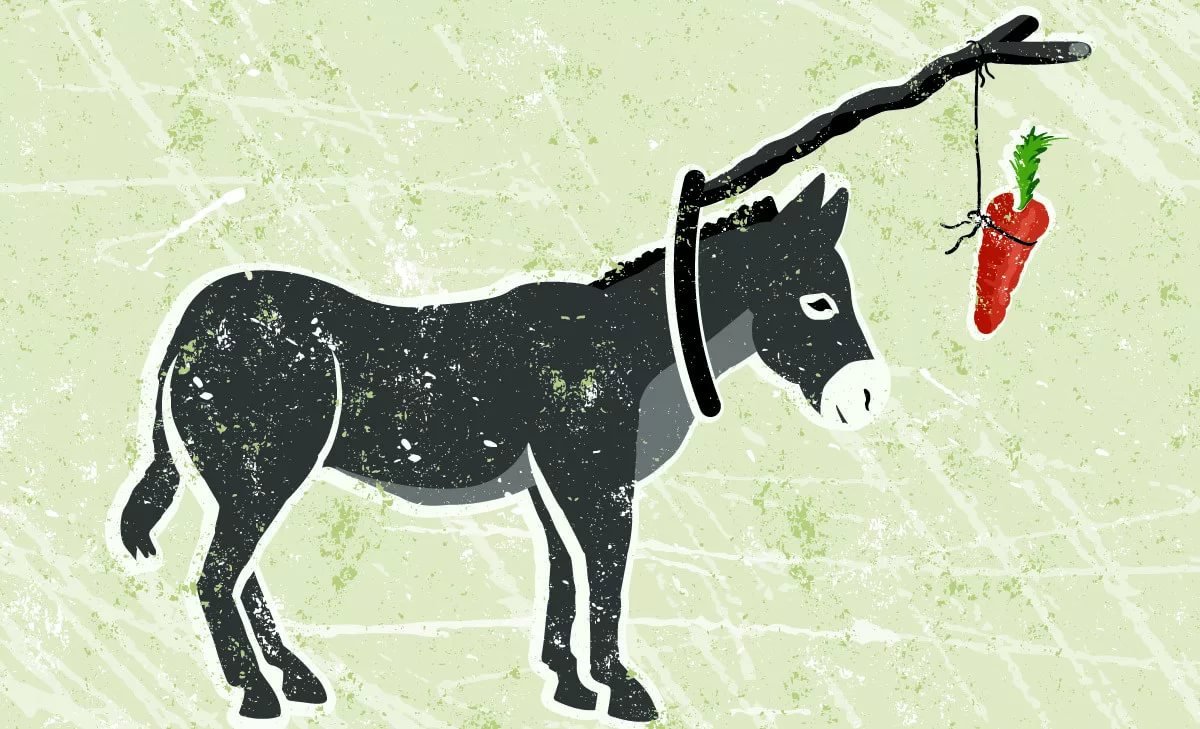 Ослик морковка на веревочке наездник телега