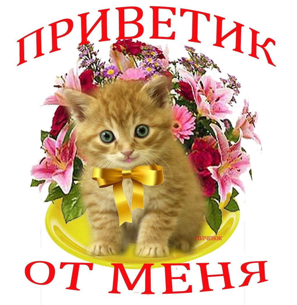 Открытки привет моя хорошая