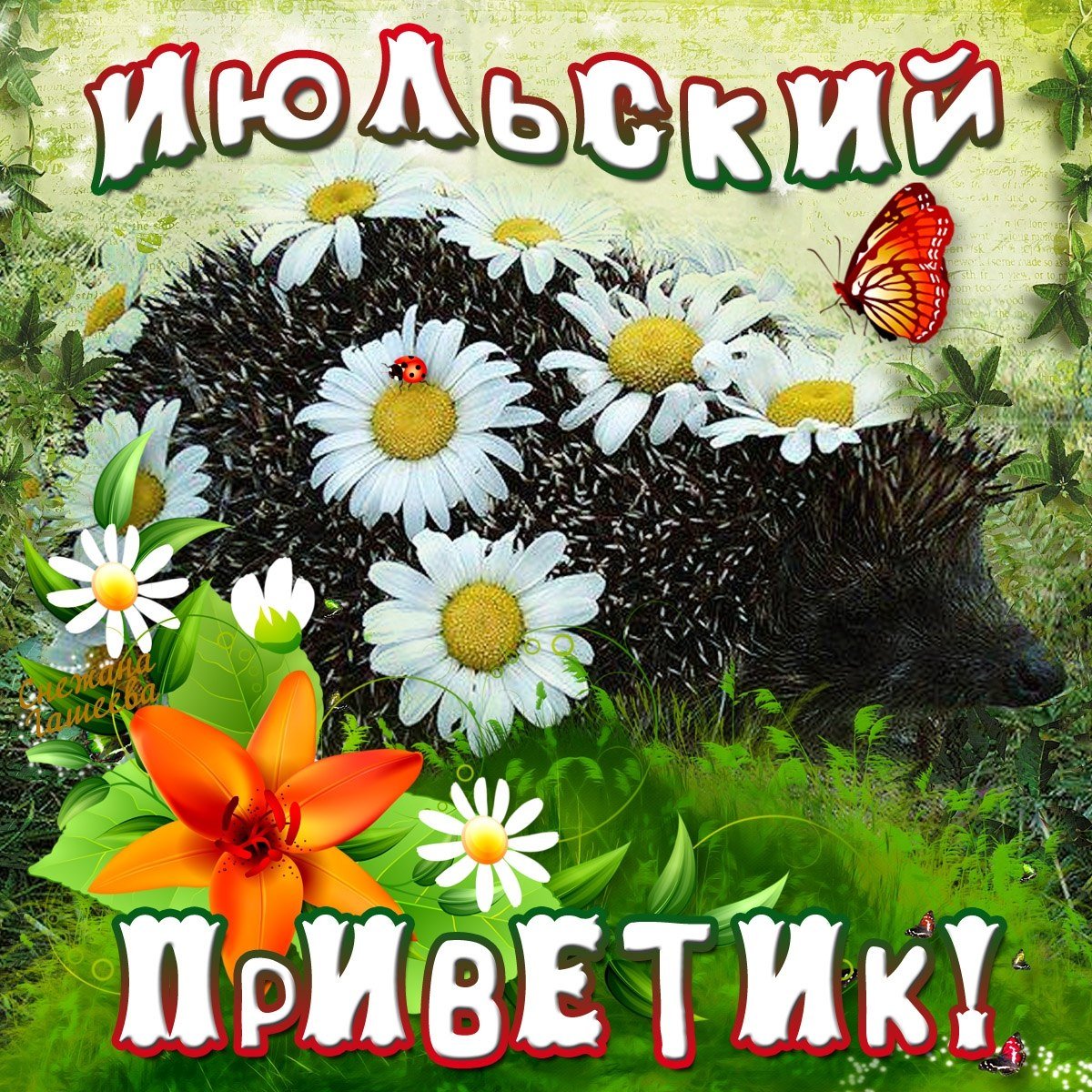 Красавица прикольные