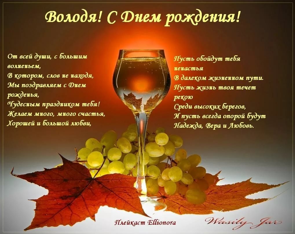 С днём рождения Володя