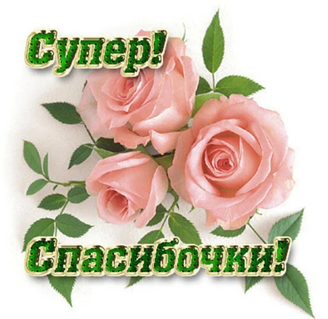 Супер открытки